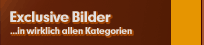 Bilder